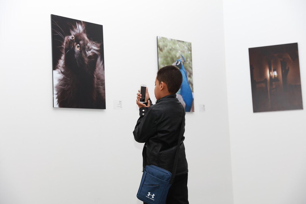 EvaExhibition's tweet photo. شهد معرض ايفا للفنون @EvaExhibition عدد كبير من الزوار بلغ عددهم اكثر من ١١الف من أصحاب الذائقة الفنية ومحبي الفن من مختلف الفئات العمرية #ایفا_2018 https://t.co/I4860VzCQ7