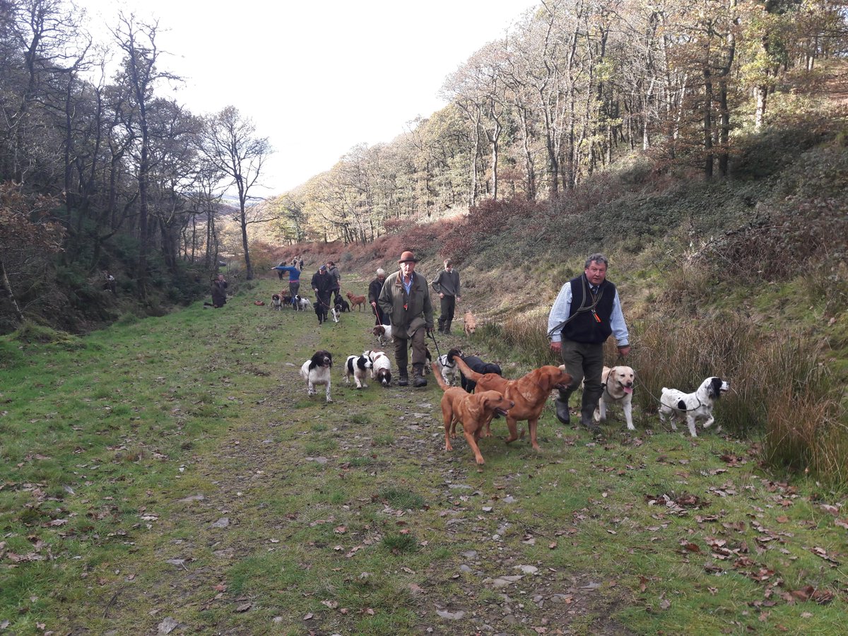 Lillycombe Sporting Club tweet media