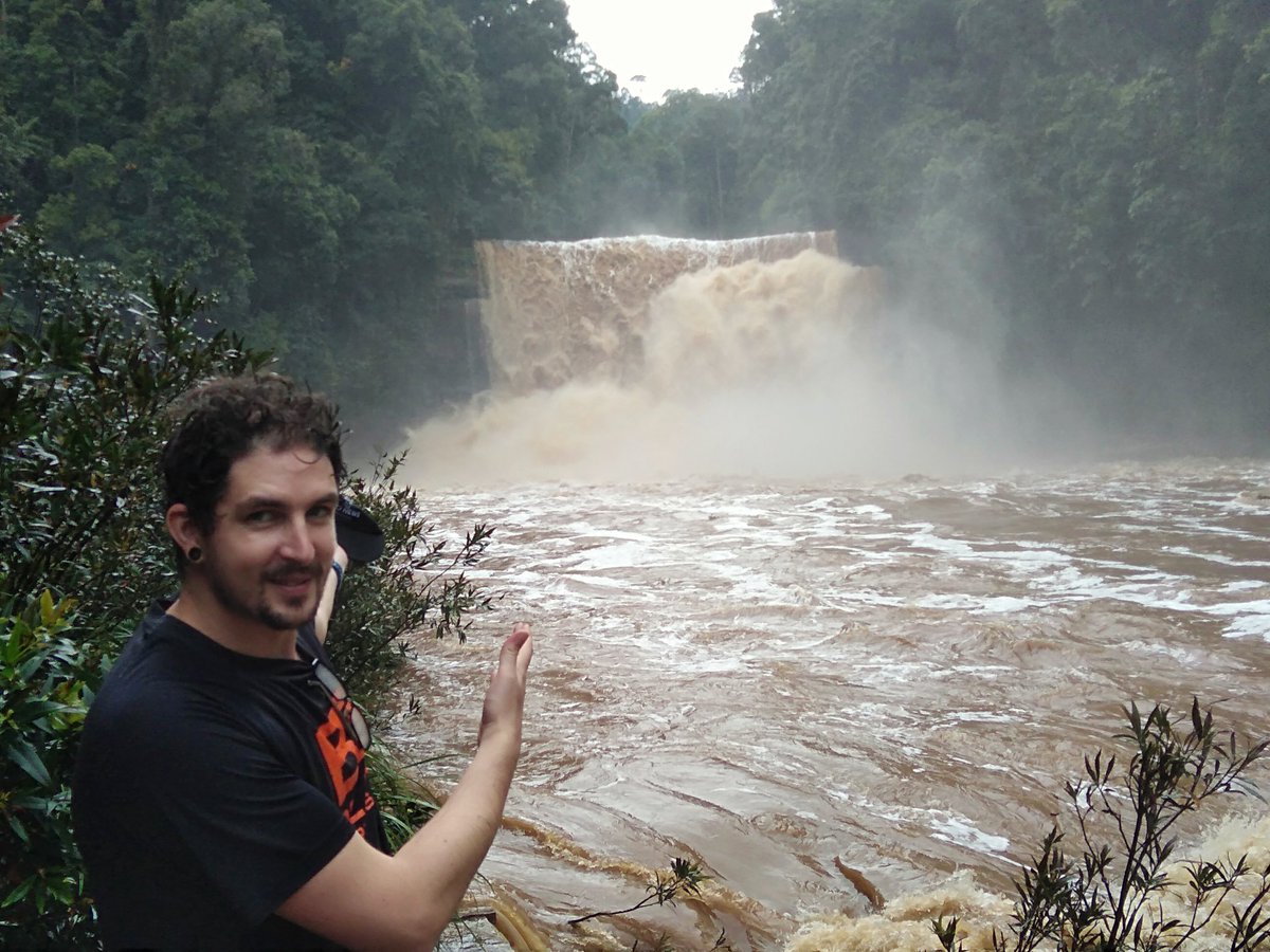 EleSlade's tweet image. Huge thank you to @JonathanParrett who spent the last 4 months iding thousands upon thousands of @HMTF_LOMBOK @SAFE_Project #dungbeetles, training @SEARRP RAs &amp;amp; PhD students @Liyuen93 @JoeWilliamson93, &amp;amp; making an amazing key and guide to the dung beetles of Sabah. Terima kasih!