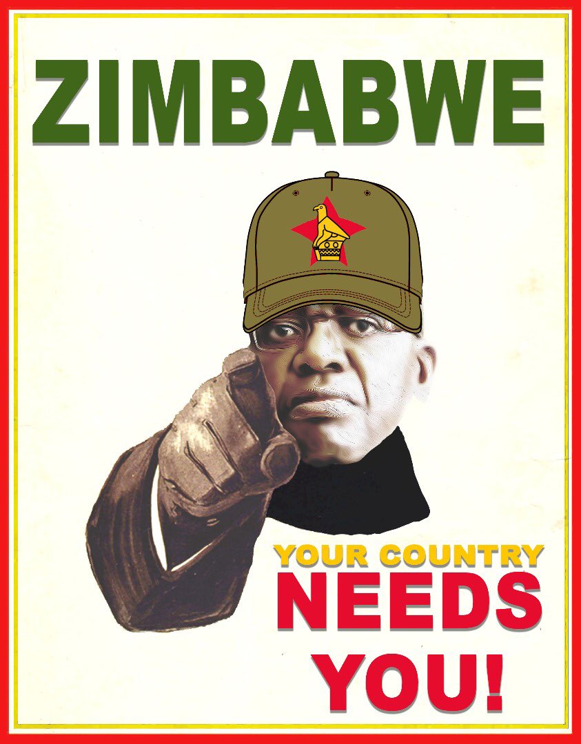 TrevorNcube's tweet photo. Dear Zimbabwe 🇿🇼 

“Patriotism is supporting your country all the time , and your government when it deserves it.” - 
Mark Twain

Wishing and praying your country fails because your political party is not in power is NOT patriotism. 

Country before political party. https://t.co/X80GgwnERc