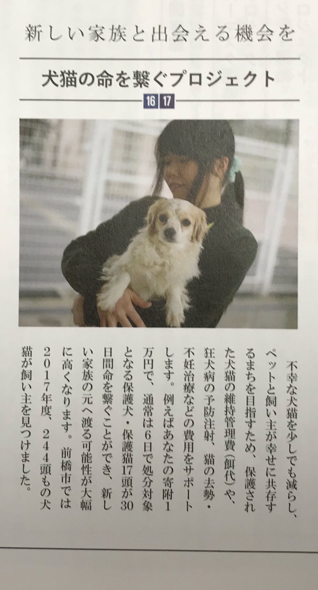 山本龍 前橋市のふるさと納税のメニューには保健所に収容されている犬猫の里親探しへの応援があります でも広島県のふるさと納税 のメニューにはnpo団体が捨てられた犬を救助犬に育てるメニューがありました T Co D7jq7r6r3o Twitter