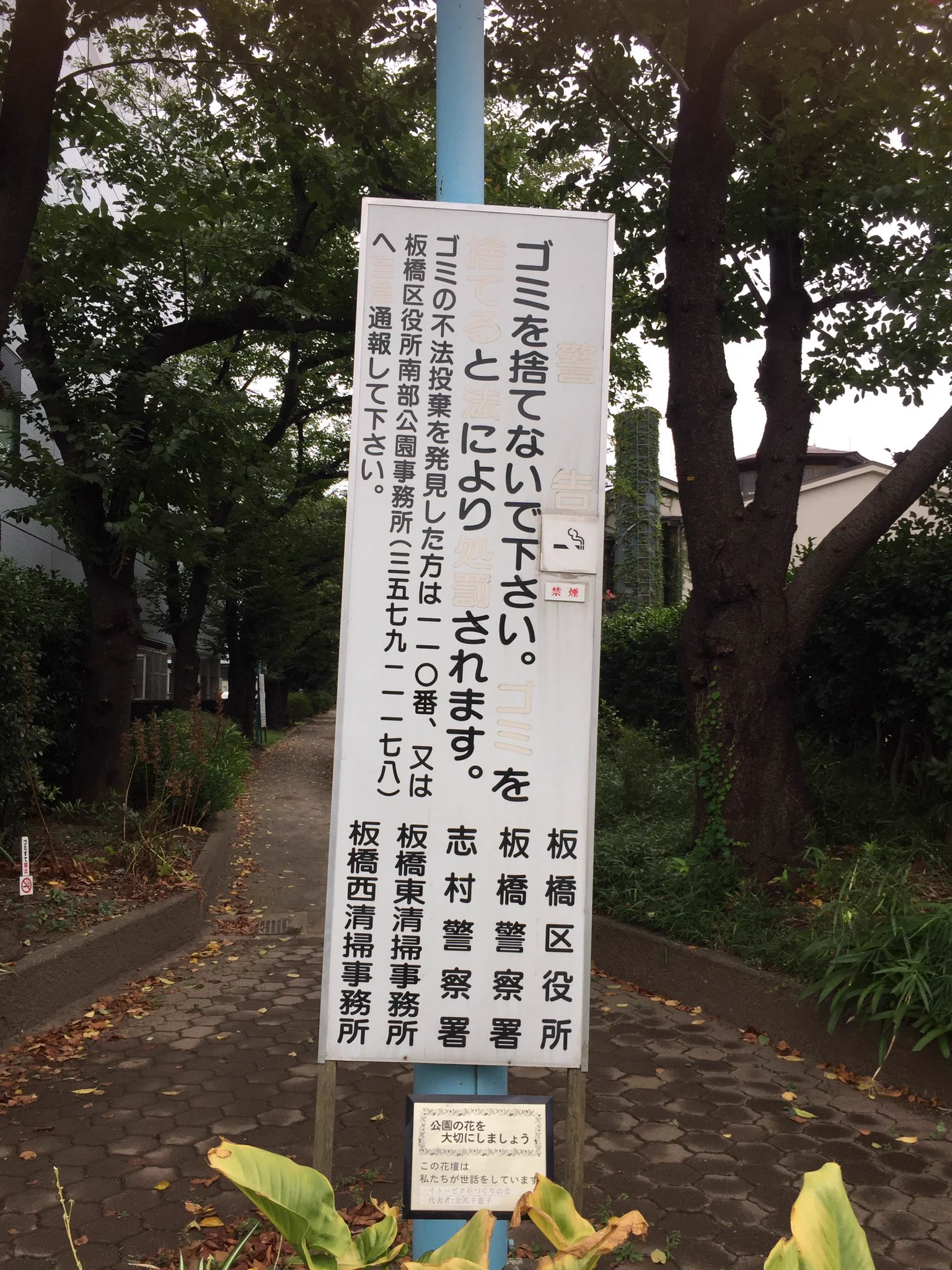 そこが1番重要なのに‼︎消えちゃったら意味がない！