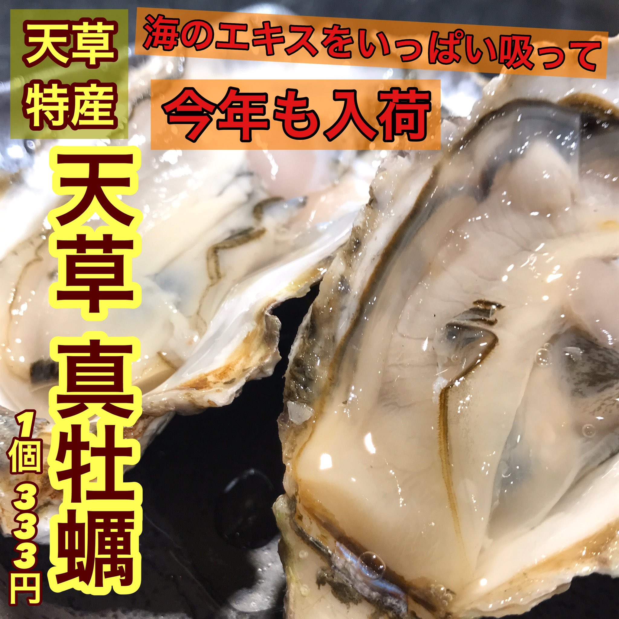 立川居酒屋おすすめ Twitter Search Twitter