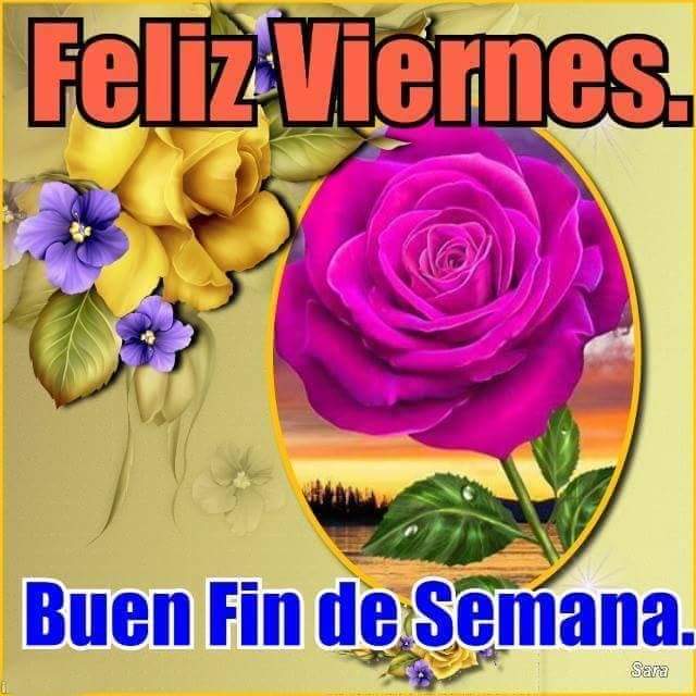 abuelayeye123's tweet image. Buenos días  sonrisas alegrías  energías  Pepa Enhorabuena x la excelente  y terrorífica  Gala  #ghvip6 @Iagare @ghoficial #FelizViernes #Exitazo