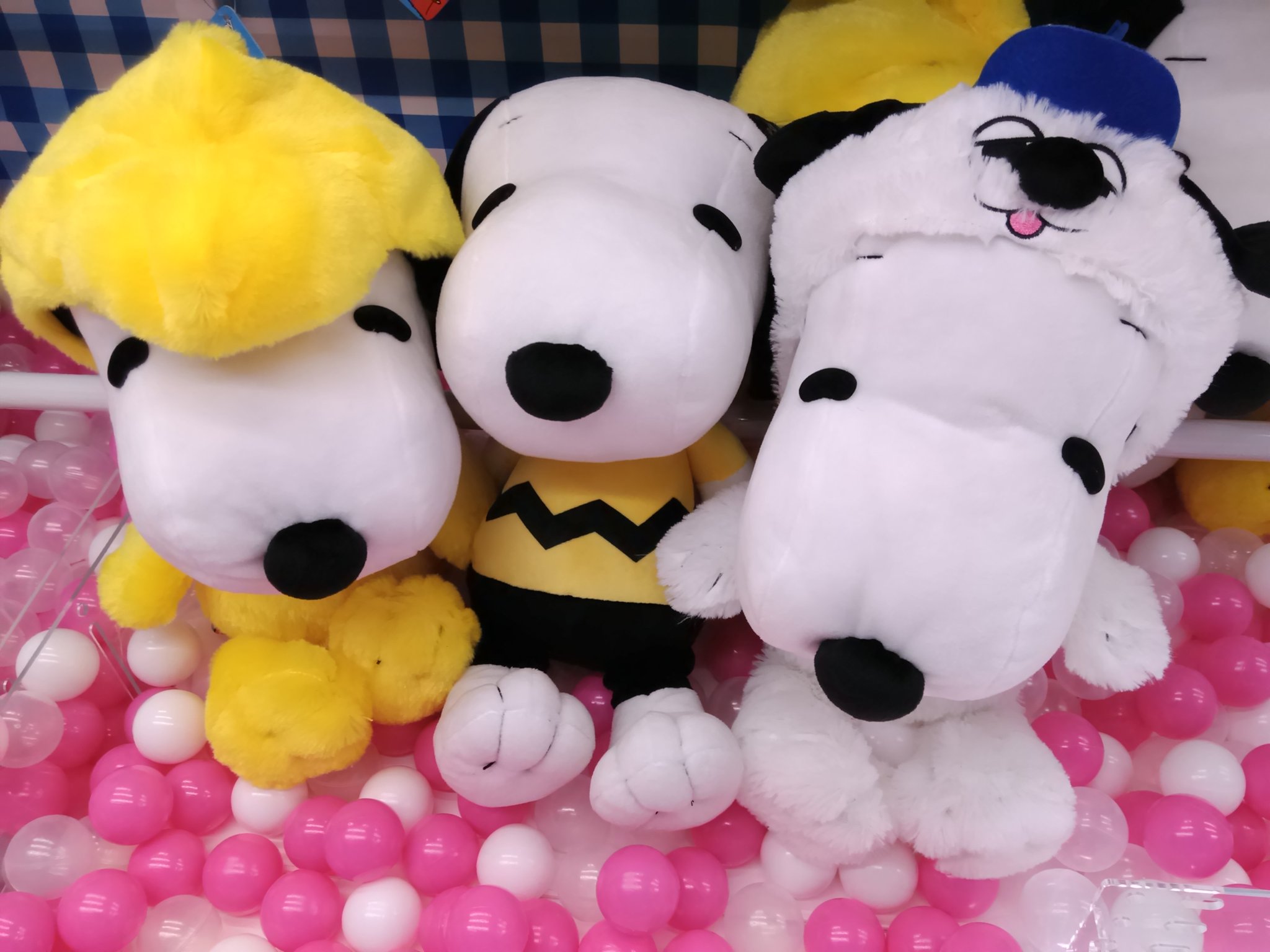 ラウンドワン草加店 Pa Twitter ラウンドワン限定 スヌーピーなりきりぬいぐるみ登場中です 兄弟のオラフやウッドストックの着ぐるみ を着てなりきってるぬいぐるみとなってます フードがかぶせられちゃう きゃわいい ラウンドワン草加店 スヌーピー ラウンドワン草加店 Pa Twitter ラウンドワン限定 スヌーピーなりきりぬいぐるみ登場中です 兄弟のオラフやウッドストックの着ぐるみ を着てなりきってるぬいぐるみとなってます フードがかぶせられちゃう きゃわいい ラウンドワン草加店 スヌーピー