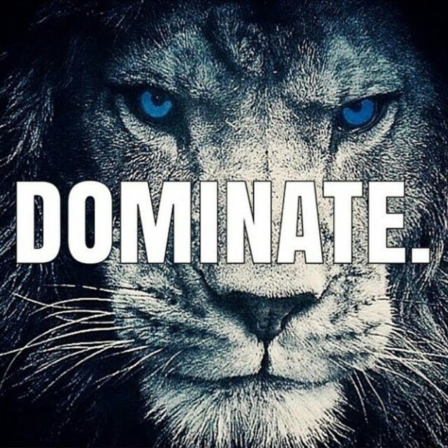 sportsHoHS's tweet image. Final regular season game this evening for @HowardLionsFB. The Lions look to clinch a first round home playoff game when they travel to @AtholtonFB. JV begins at 4:00, followed by Varsity at 7:00. #StepTen #feartheroar #Dominate