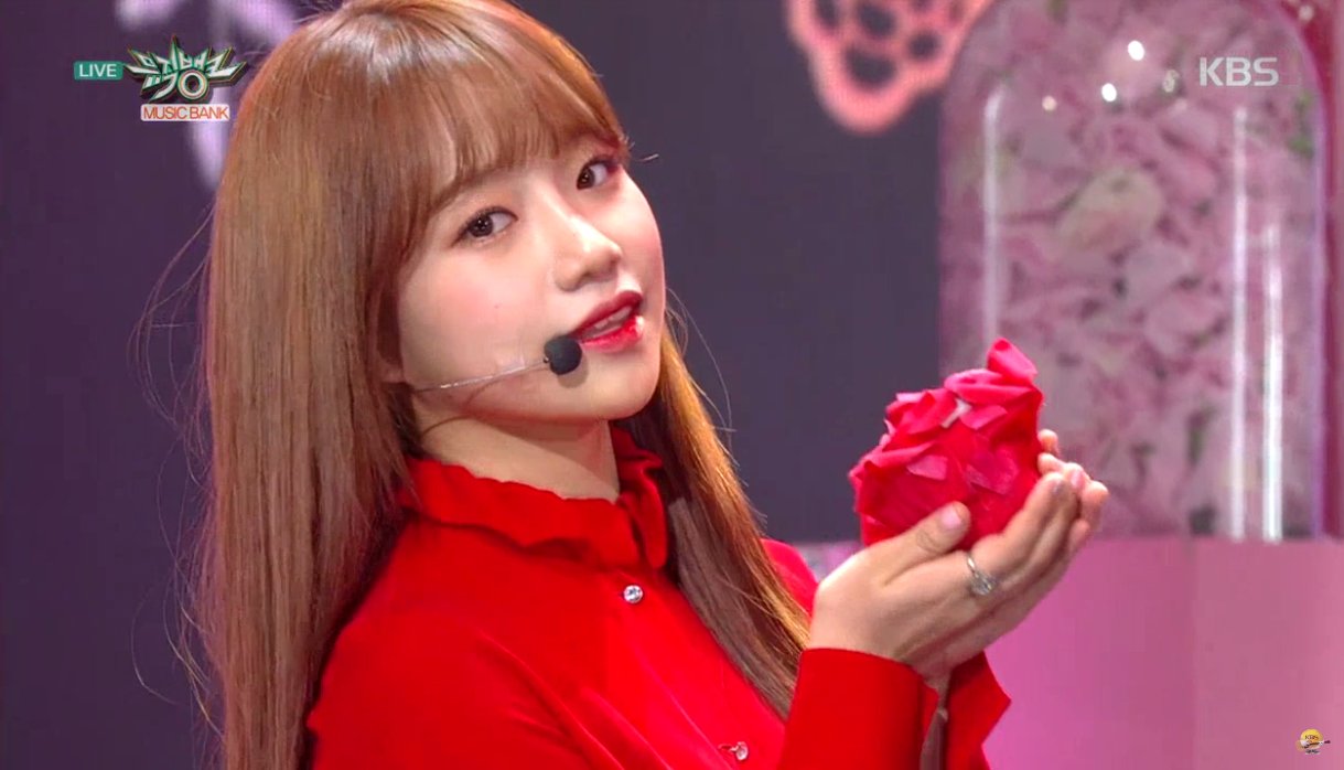 IVE ウォニョン La vie en Rose サノク トレカ izone 【公式通販】