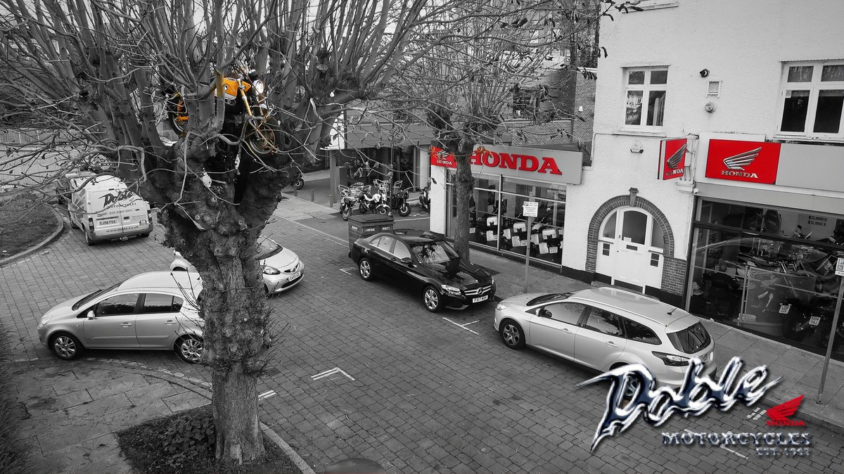 DobleHonda's tweet photo. Flashback Friday to our primate discovery in the trees outside the dealership!
You can capture your own Monkey by coming to see us in store or giving us a call on 020 8668 8851.
#monkeyBusines
#WeAreBikers https://t.co/L8XV5cdRMz