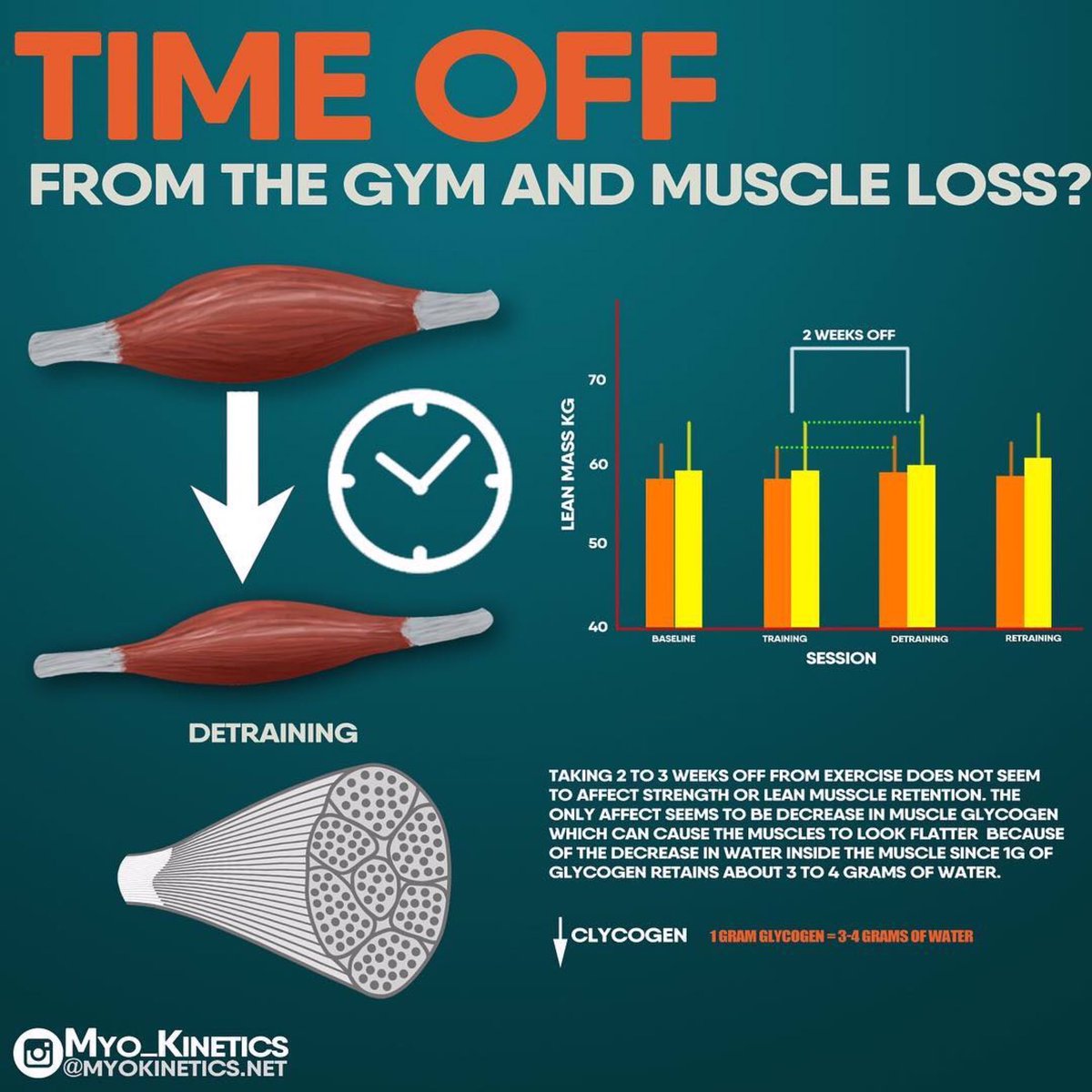 CaptainBurpee's tweet image. When comparing resistance training groups who took a 3 week break between training and those who continued with there resistance training. There was no difference in the two groups when compared in strength and muscle cross sectional area (Ogsawara R et al 2011) @Myokinetics