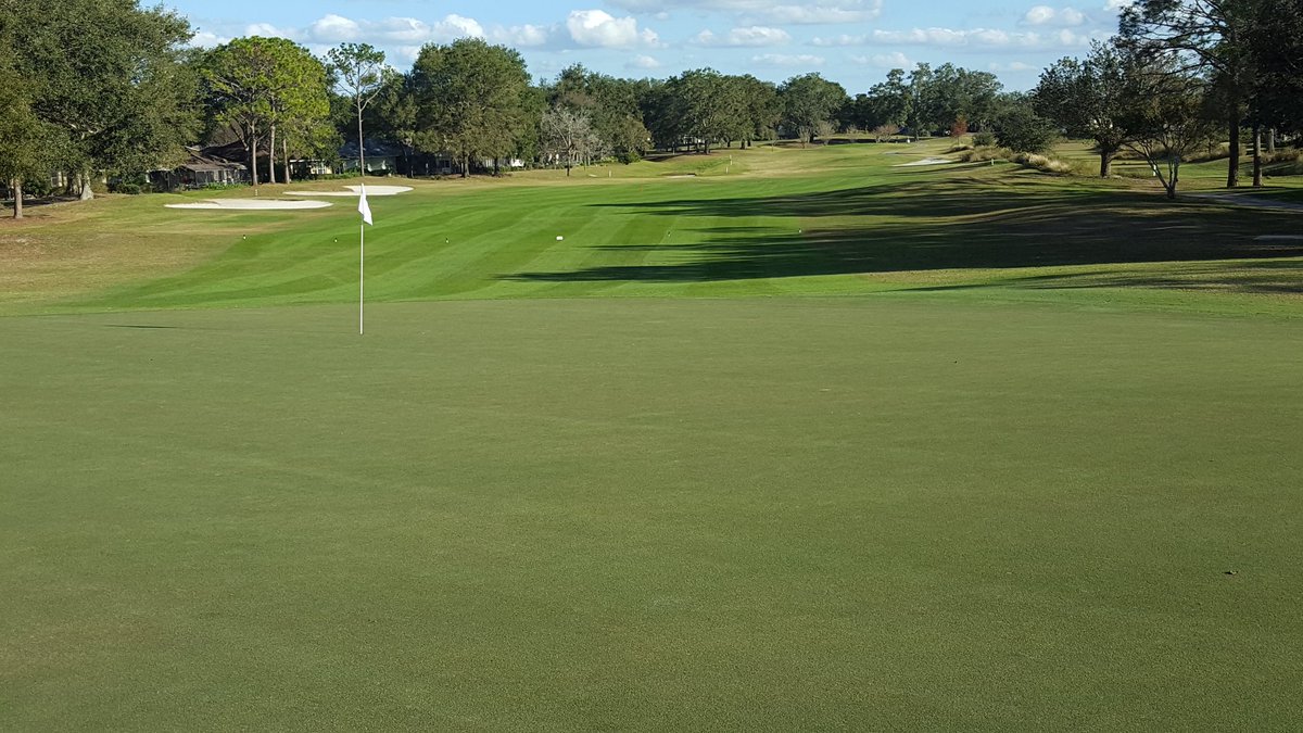 TurfBeard's tweet photo. Overseeded? Non-Overseeded?  @Yara_N_America #YaraMilaTurfRoyale in Standard or mini grade is a great option either way to jump start that seed or to keep that bermuda going strong into winter!  #iuseditasasuperintendent #itgrowsgrass #yarafertilizer https://t.co/VzQys2FTlM