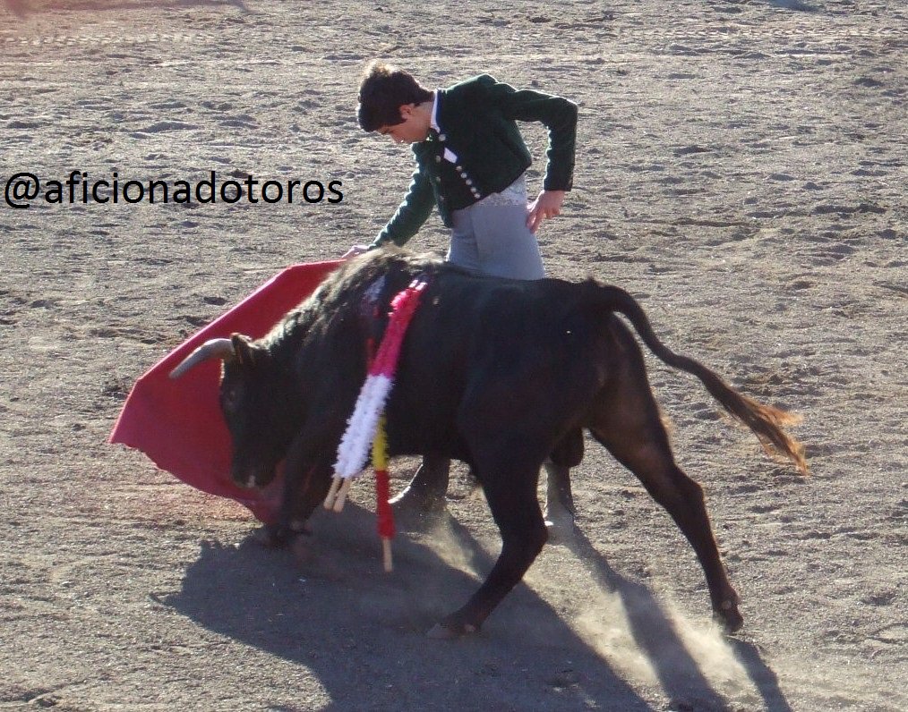 aficionadotoros's tweet photo. Pedro Rufo con un becerro de Mariano Arroyo. Belvís de la Jara 21/01/18 https://t.co/Sa1580OCzD
