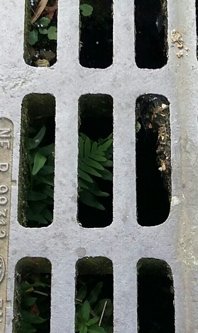 BarbaraStock13's tweet photo. Bythewayside
#streetphotography #smartphonephotography
#strengthoflife
#byrhewayside
#BarbaraStockPhoto https://t.co/ktpD2M94Fv