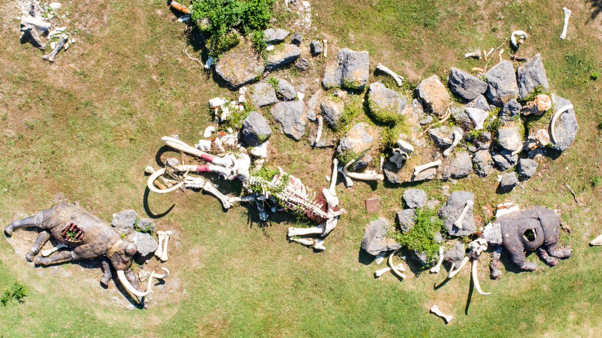 Plus que 2 jours pour plonger au coeur de la #préhistoire au <a href="/PALEOSITE/">Paléosite</a> 
👉 paleosite.fr
#Traverserletemps #CharenteMaritime @LesCharentes