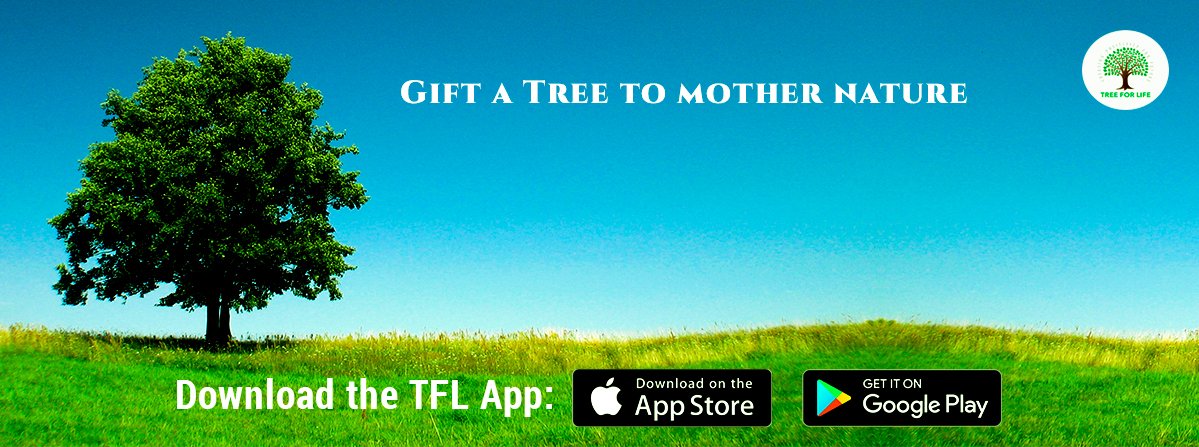 Thank you @IndiaTropicana for this Wonderful initiative. Enjoy this festive season with planting more trees and giving back to nature the love it truly deserves. bit.ly/2OINmrh #GiftATree #TreeForLife