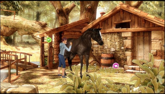 petz horse club wii walkthrough petz horse club wii walkthrough