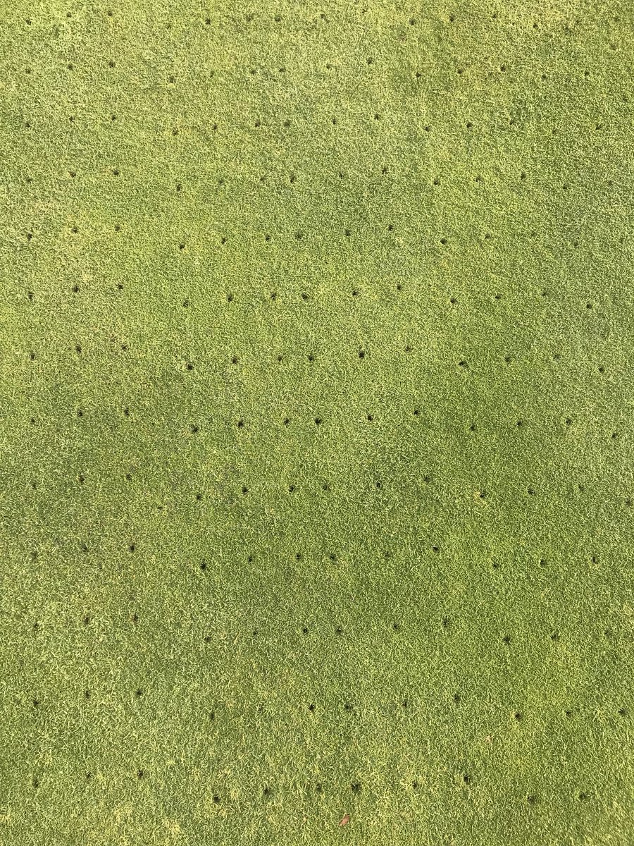 Is there anything more satisfying? Delayed started with the frost but making good progress now! Let them breathe <a href="/ChilworthGC/">Chilworth GC</a> ⛳️☀️