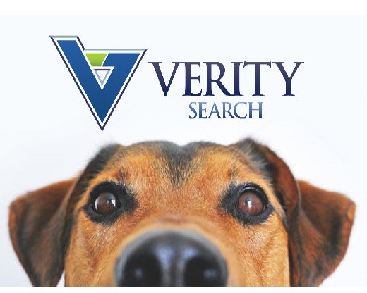 VeritySearch's tweet photo. WAIT! BETTER COMPENSATION AND BETTER MORTGAGE RATES?
Mortgage Careers Optimized! info@veritysearch.com
#mortgagebanking #mortgage #recruiting #careerdevelopment #loanofficers #mortgagelending #branchmanagement #veritysearch #maximizeyourvalue #compensation #income https://t.co/5r7coWStCR