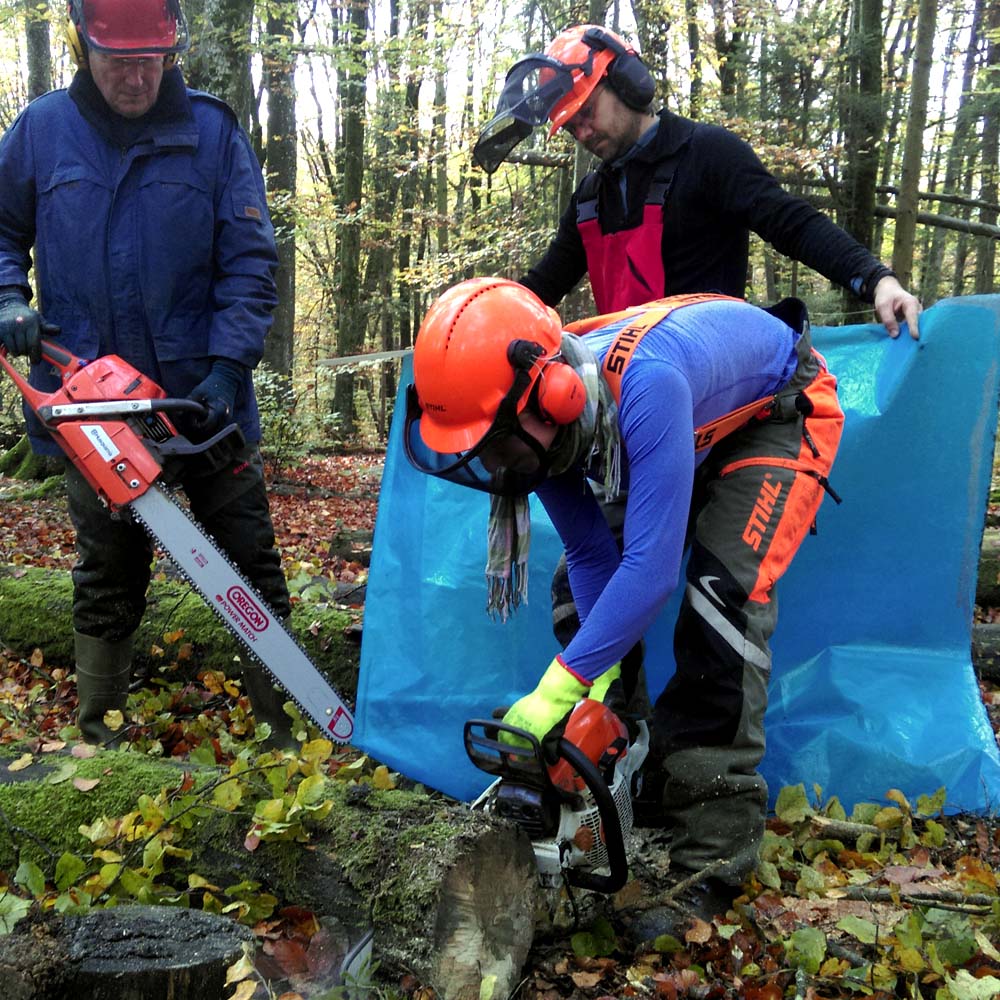 BExplo_de's tweet photo. Sampling campaign for longterm experiment #BeLongDead: Analysing the influence of the surrounding ecosystem to #DeadWood #decomposition, element turnover and storage by members from @TerrEcolGroup TU Munich, @ihi_zittau, @unibt. #NextGenerationSequencing, #microorganisms, #fungi https://t.co/DECFWQh9lt