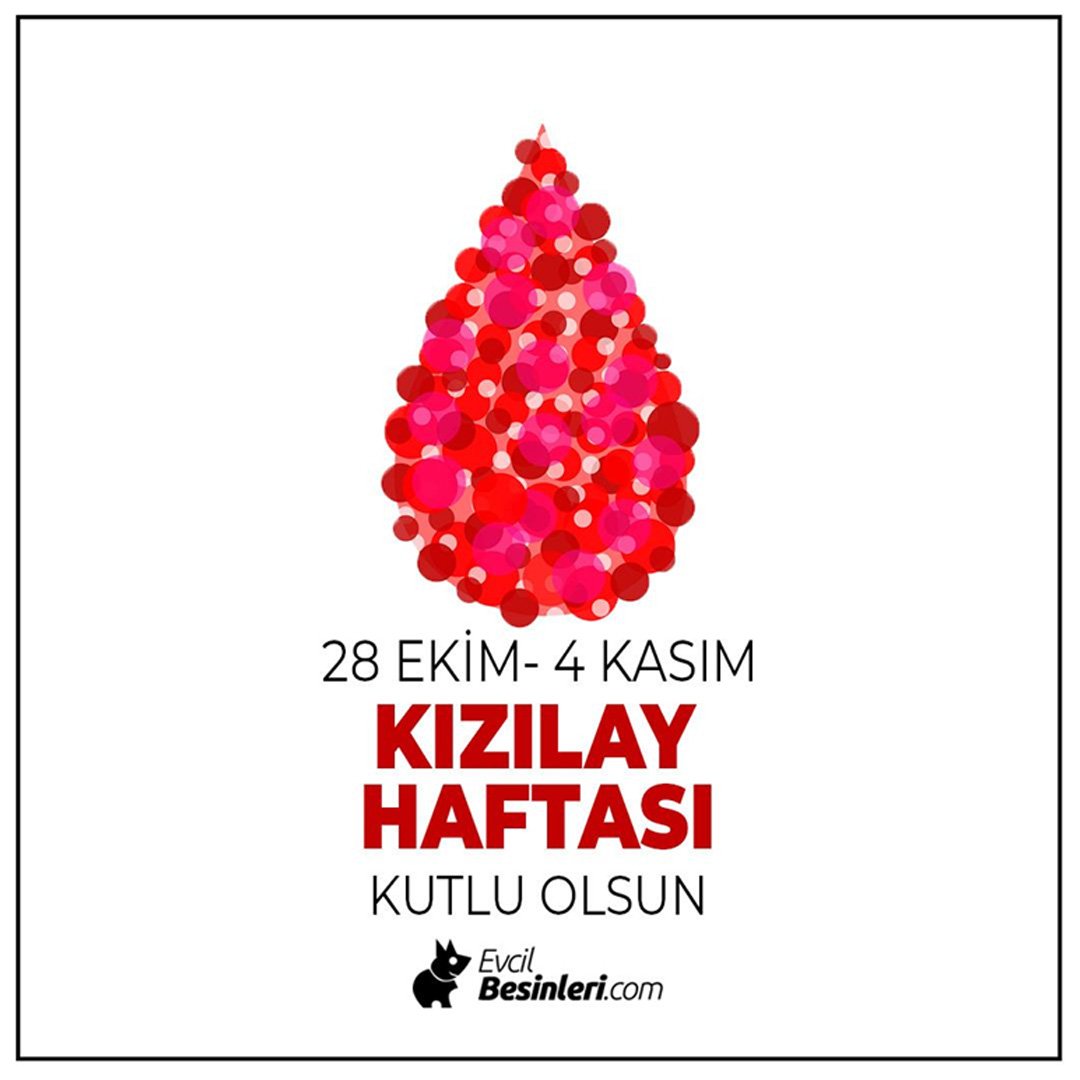Kan bağışı hayat kurtarır. Duyarsız kalmayın! 💗
#kızılayhaftası #kızılay #kanbağışı