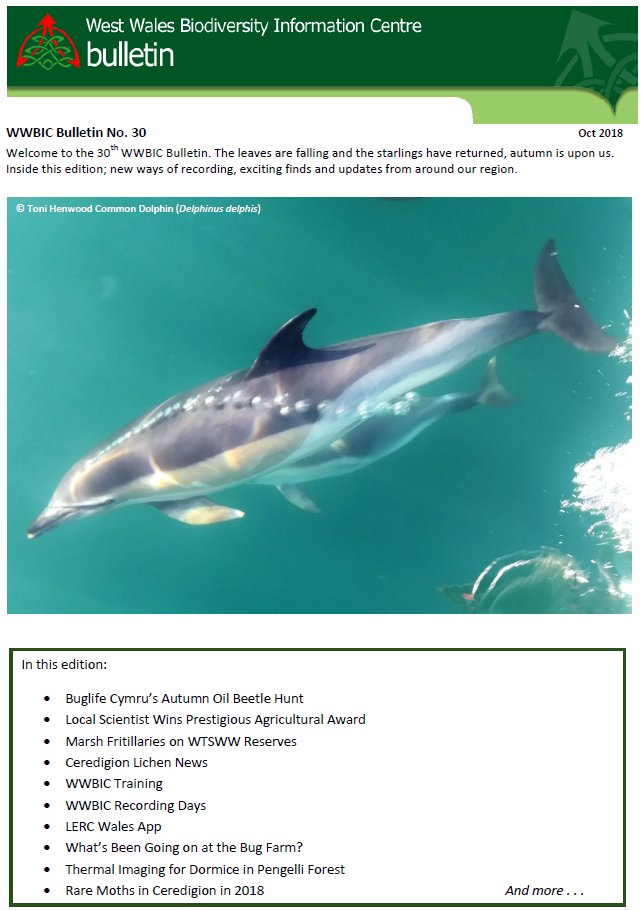 Check out our Autumn 2018 newsletter to discover what's been happening in the world of wildlife in West Wales. 🐬🦋🐭🌿🐝
wwbic.org.uk/newsletter/aut…

#conservation #wildliferecording #wildlifetraining