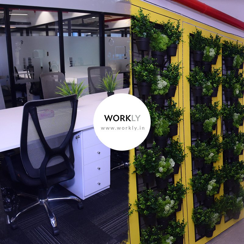Worklyspace's tweet photo. Some soothing green environment to perk up this dull Delhi weather. Fresh new ideas arise at Workly. Create magic throughout!

#Workly #coworkers #community #office #dream #coworkinglajpatnagar #officeonent #coworking #officeforyou #NehruPlace #SarvodayaEnclave #LajpatNagar https://t.co/MIp2WUqQMJ