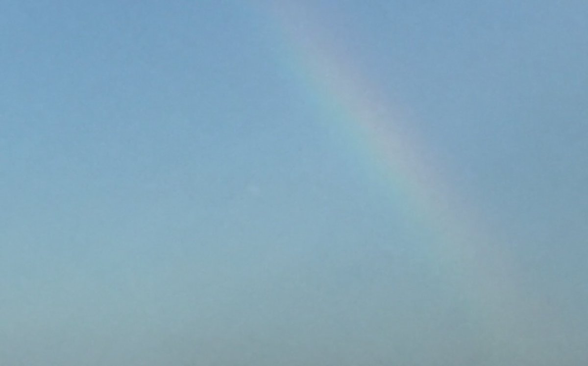 merryinapril's tweet photo. น้องโผล่มาแบบจางๆ 🌈 https://t.co/BObXcqvKaL