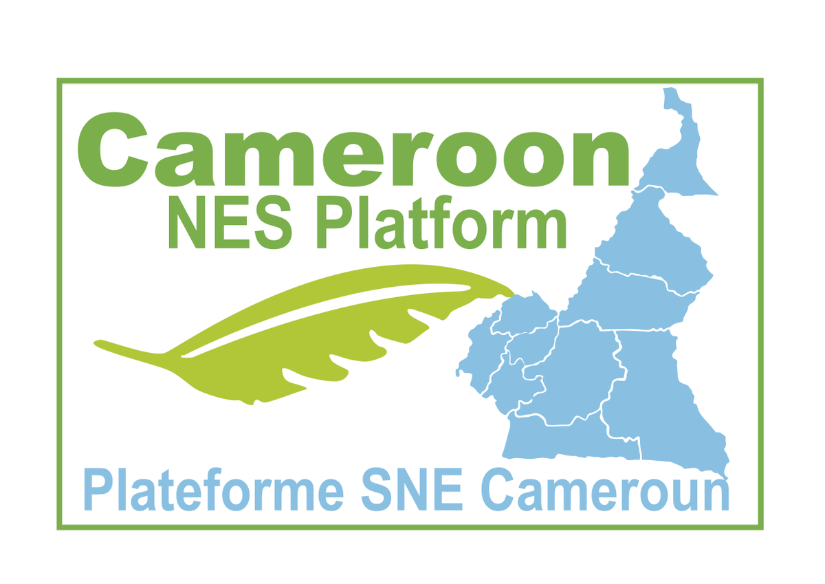 CameroonNes's tweet photo. Good morning everyone
   
  The NES Cameroon Secretariat informs all members of the platform the new version of its logo. Indeed, for reasons of aesthetics and visibility, the graphic chart of the NES logo has been slightly modified. https://t.co/iBLakkqfNe