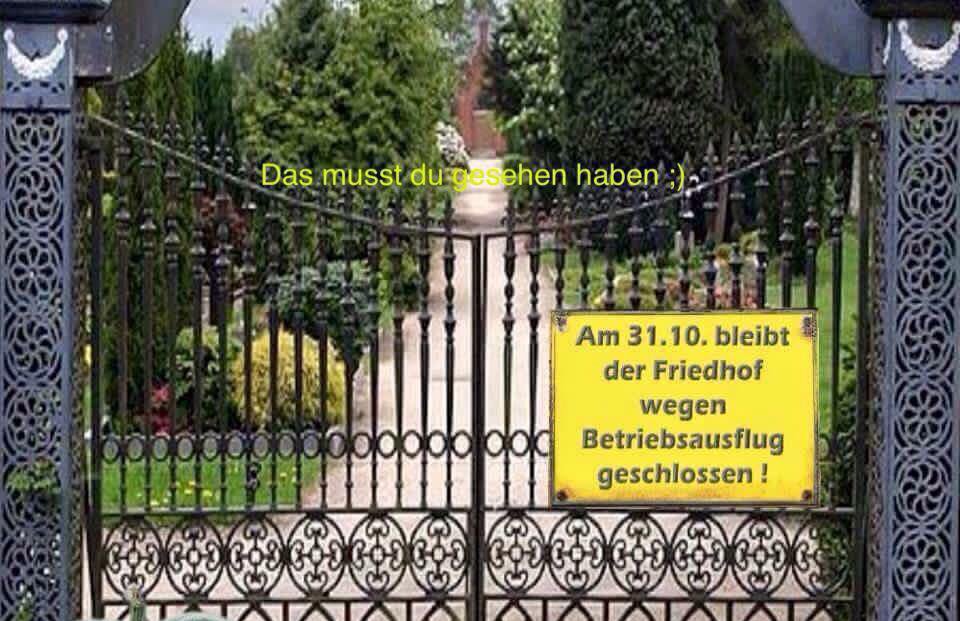 Alba_saluda's tweet photo. Ich mach nur einen Halloween-Scherz, ich versprechs. Oder zwei https://t.co/OUgjasecZS
