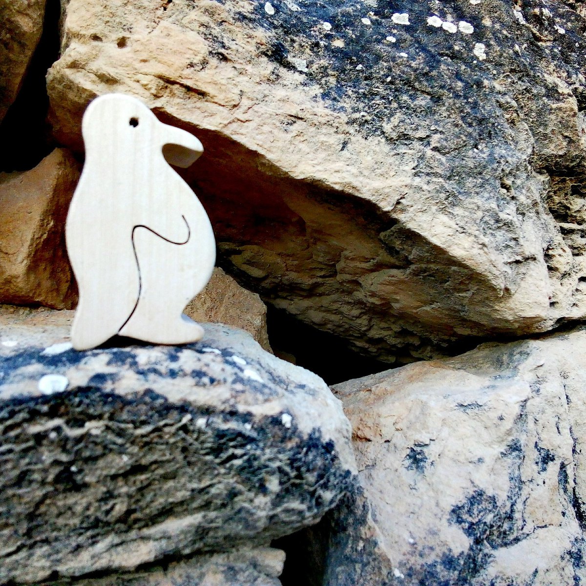 minervaselles's tweet photo. Amb la baixada de temperatures que s'espera, fins i tot els pingüins busquen refugi.
#fred #hivern #artphotography #nature #tempshivernal #tempsdefred #catalonia #llorensderocafort #pingüins https://t.co/ZXeBXAEcb0