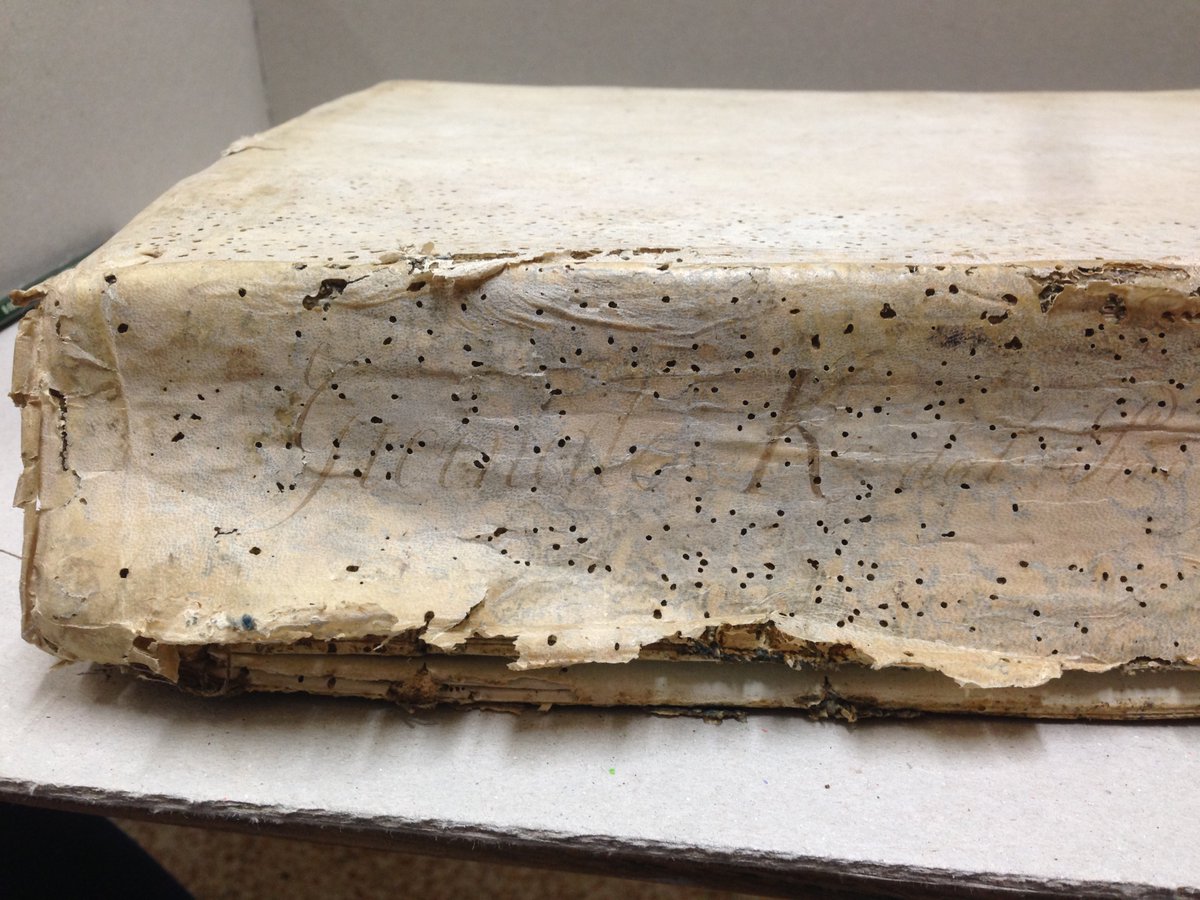 DorsetFox's tweet photo. Watch this space/tag for updates on our #PEATSMalta2018 project. Month of gaining conservation skills at 18thC #Bibliotheca housing archives of #KnightsOfStJohn crusader hospitallers and pirate licensers. Plus supporting Community led #MaltaTourism projects #ERASMUS+ https://t.co/8i6jtfsWUb