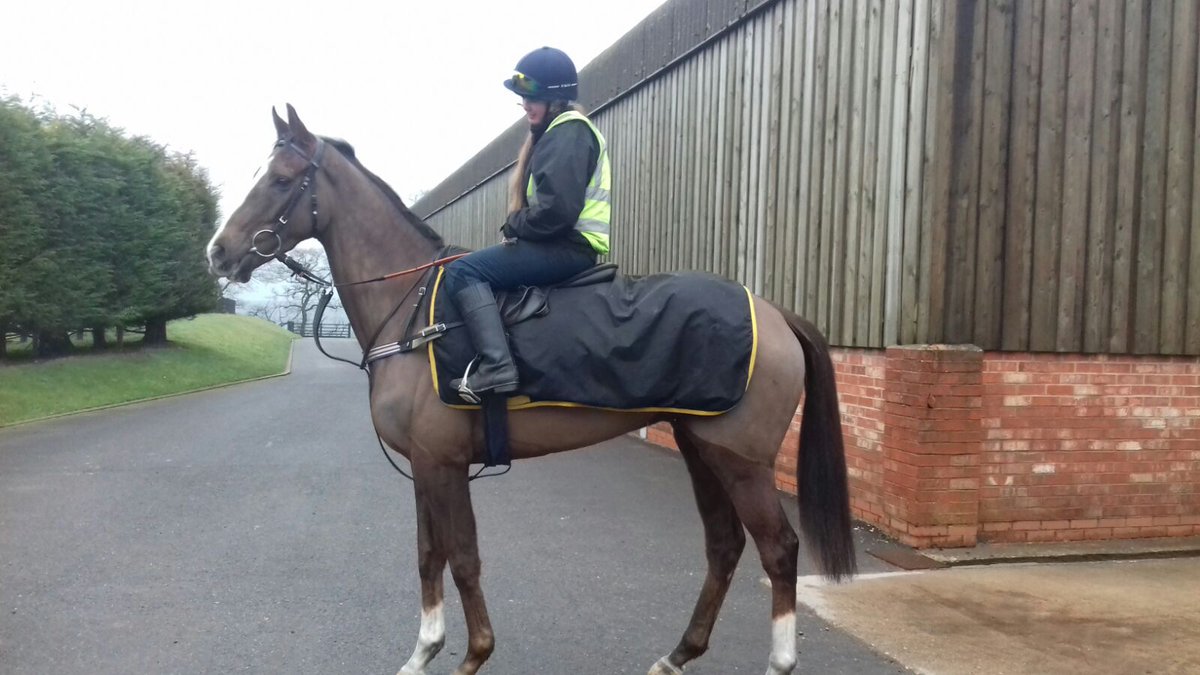 ianwilliamsraci's tweet photo. 1/2 ...

Three runners this afternoon @CheltenhamRaces 

First Assignment under @tommyscu runs in the 3.10

Seven De Baune switches to hurdles in the 4.20 

Sunnytahliateigan goes in the @TeamMatchbook @ChallengerJumps Hurdle with @edaustin94 

https://t.co/v87NZR9tg0 https://t.co/Dy7bqAbEAE