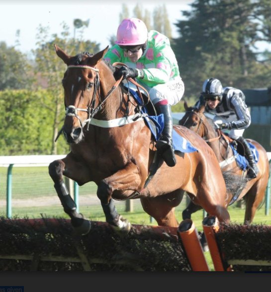 ianwilliamsraci's tweet photo. 1/2 ...

Three runners this afternoon @CheltenhamRaces 

First Assignment under @tommyscu runs in the 3.10

Seven De Baune switches to hurdles in the 4.20 

Sunnytahliateigan goes in the @TeamMatchbook @ChallengerJumps Hurdle with @edaustin94 

https://t.co/v87NZR9tg0 https://t.co/Dy7bqAbEAE