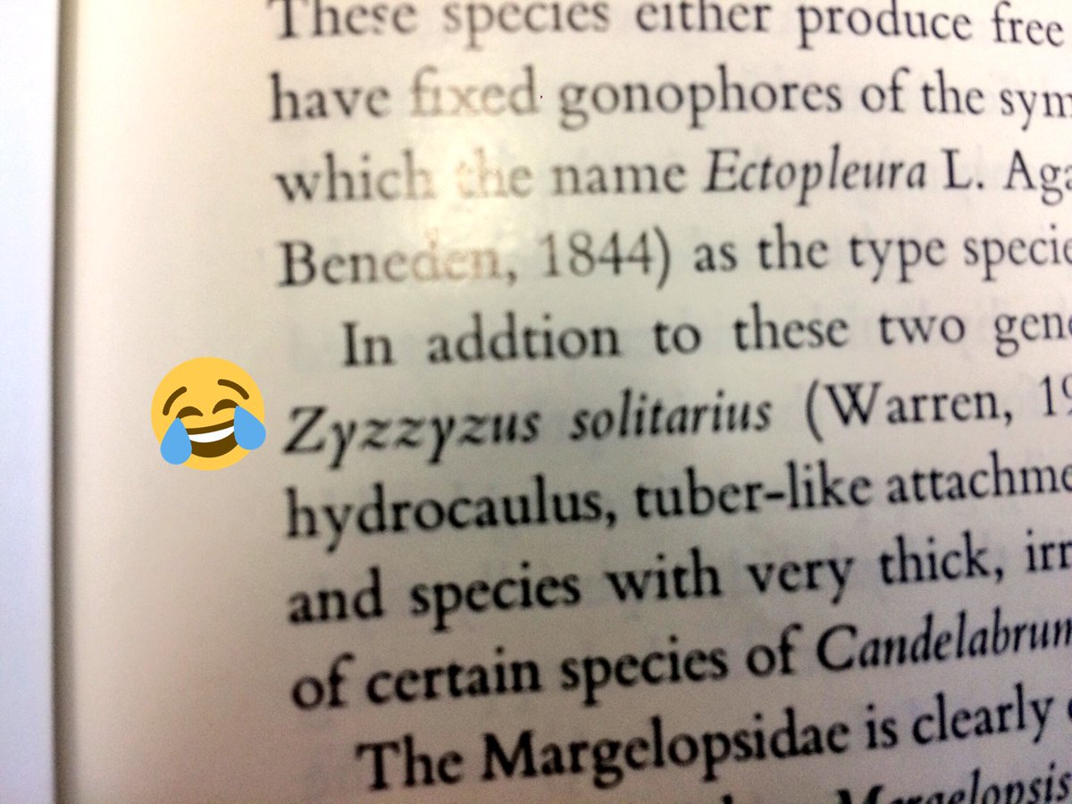 juliaesamson's tweet photo. I know Latin species names can be funky but today I found my new favorite one.
Zyzzyzus.
Researcher 1: And what species do you work on?
Researcher 2: Zyzzyzus.
R1:
R2:
Anyone else any funky Latin names?
#scienceLOL #science #whatsinaname https://t.co/7xw9Yfm26L