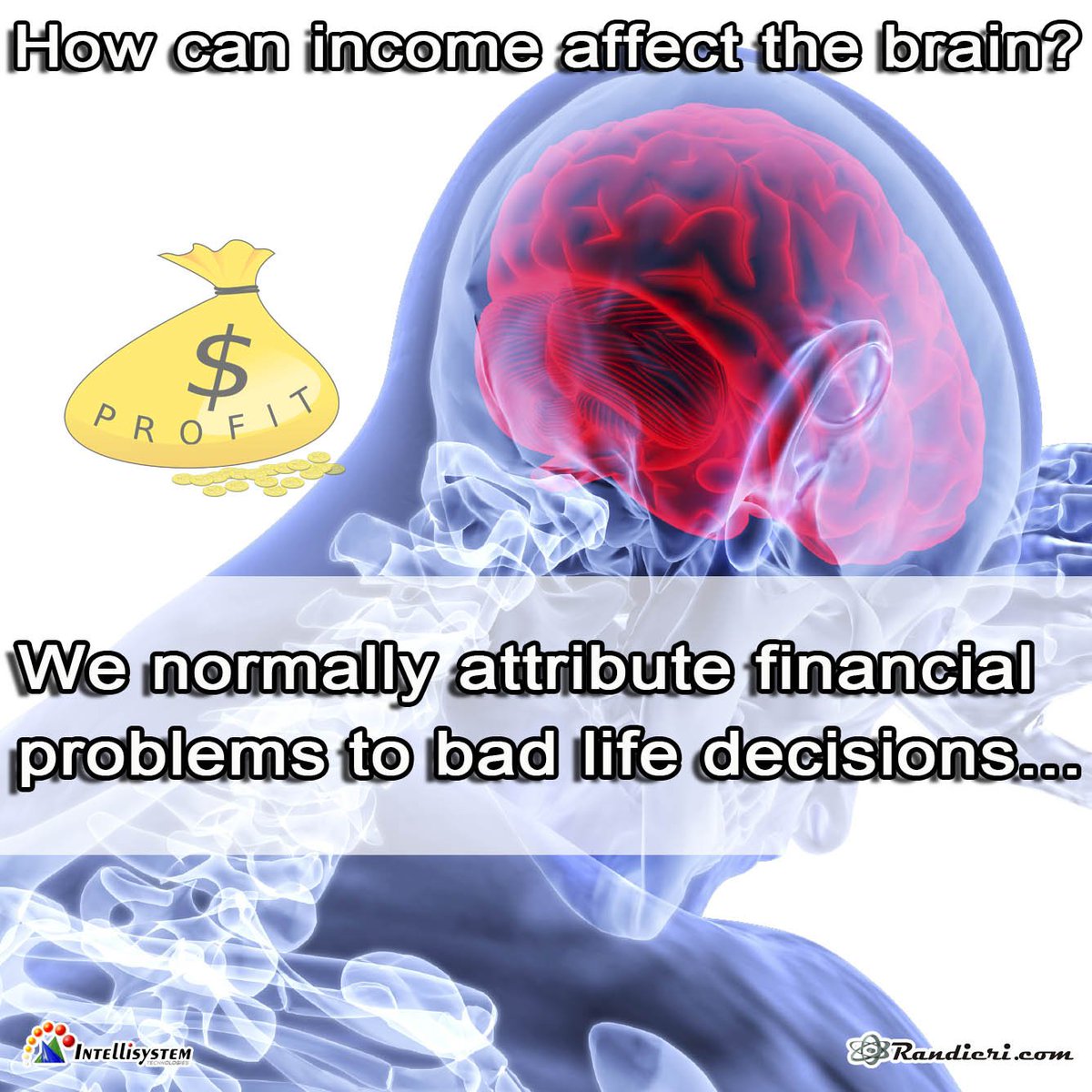 C_Randieri's tweet photo. How can income affect the brain?
We normally attribute financial problems to bad life decisions...
https://t.co/lrmOD8N9bt
#income #affect #brain #attribute #financial #problems #life #decisions #bad #fortunate #career #cars #University #reddito #influire #cervello #finanziari https://t.co/QMFeBH8wQH
