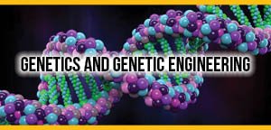 PharmaMeeting's tweet image. To Know updates on Pharma News worldpharmaconference.euroscicon.com
New drug blocks pancreatic cancer growth in mice, study finds
#Recenttechnology in #Biopharmaceuticals #Preformulationstudies #Pharmaceuticalformulations #Pharmaceuticalmaterials #PharmaceuticalTechnology #Pharmacy