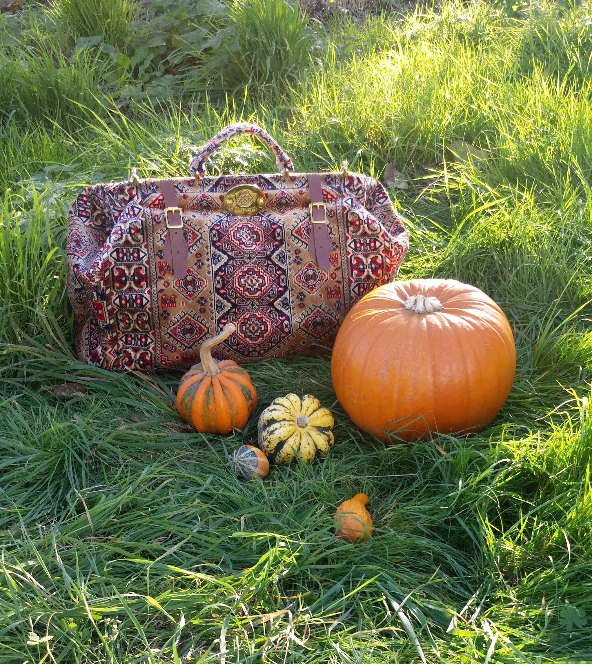 Gladstone carpet bag sale