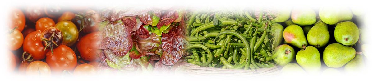 CRDesenv's tweet photo. Vols un negoci en traspàs? Estàs buscant una clínica veterinària? O potser un bar o restaurant? T'has plantejat una botiga de productes ecològics? També es traspassa una perruqueria, una botiga de menjars preparats, carnisseries,... Borsa de traspassos a https://t.co/RJ5oITLSaw https://t.co/Jhcf78y19N