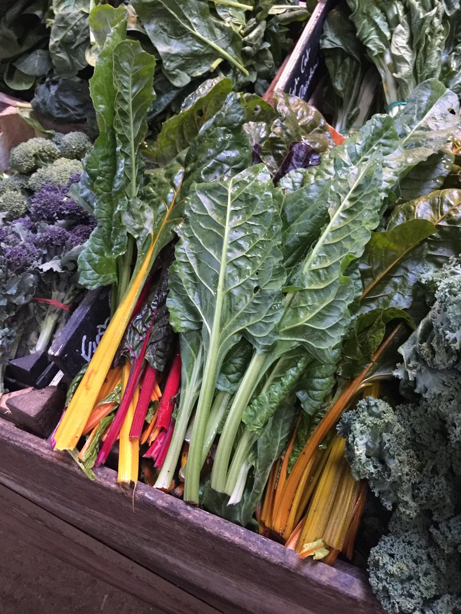 DymockFarm's tweet photo. Fresh picked Rainbow Chard .. ⁦@DymockFarm⁩ #dymockfarm #localproduce https://t.co/BdmeCayJvq