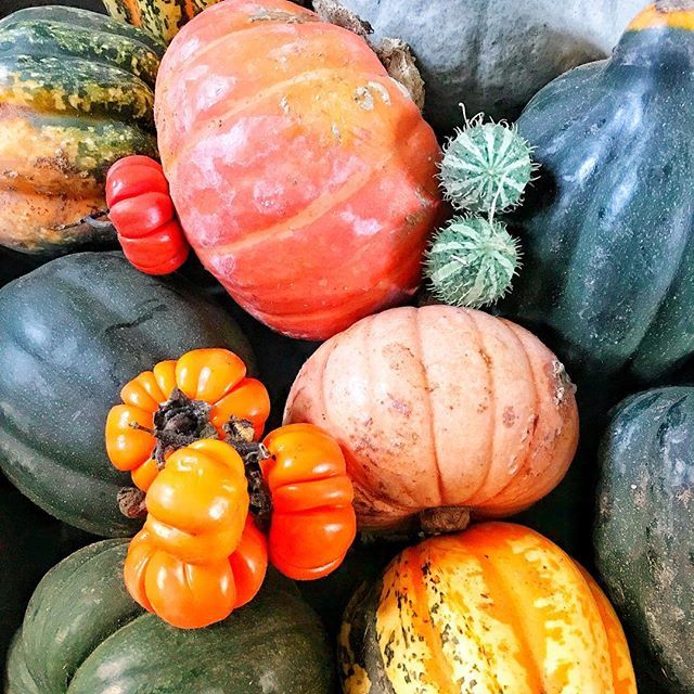 FloralElements2's tweet photo. Pumpkins & Gourds are in the house ๐๐ #autumnfruits #gourds #pumpkins #pimpyourpumpkins #rochesterflorist #medwayflorist #stroodflorist #floralelements https://t.co/39Glrtb2Fg https://t.co/E5buvJmPrS