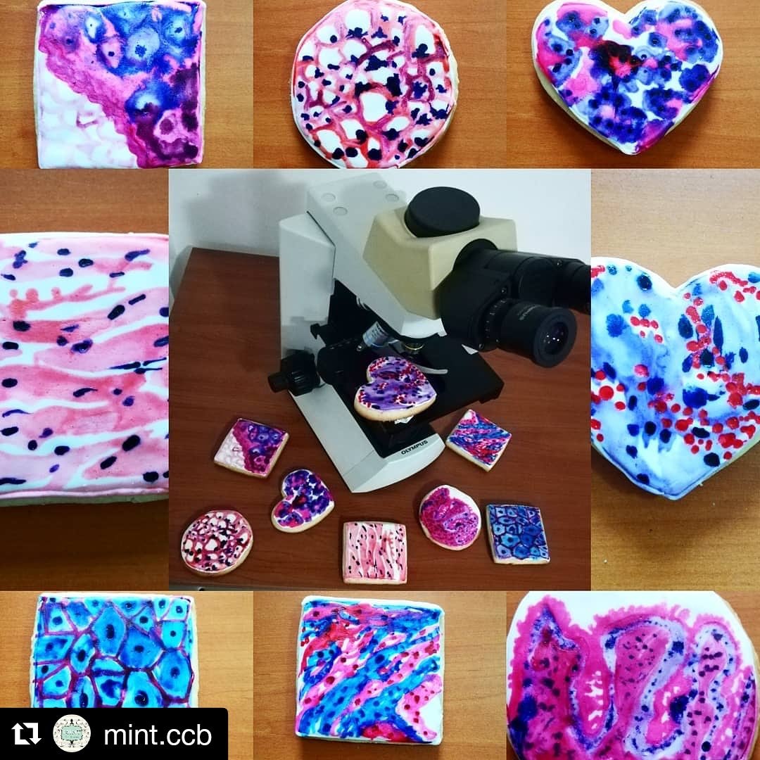 YURIALV's tweet photo. Ame mis galletas del día del médico !! Muchas gracias !! @cesthelacanales https://t.co/AfRaztskkq