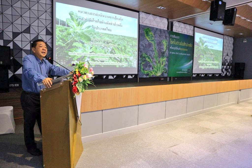 jamesplegg's tweet photo. #Thailand is already on the move in tackling the treat posed by #Cassava mosaic disease (CMD). Drs. Chariensuk &amp; Wanwisa address >350 stakeholders in the border areas near Cambodia in order to raise awareness of the danger posed by CMD &amp; how to minimise the risk of spread @IFAD https://t.co/G30qSOJgRH