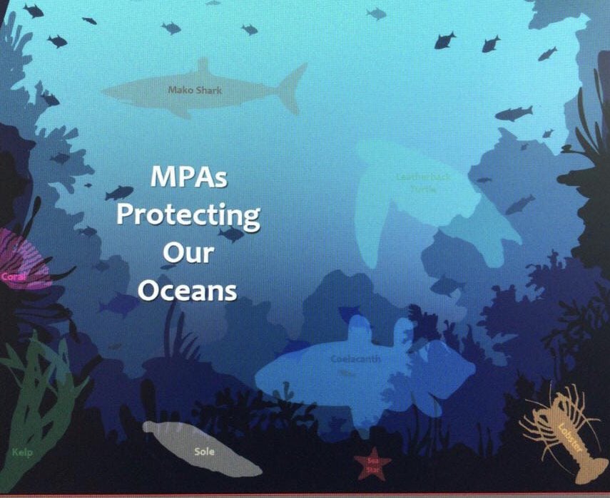 saambr's tweet photo. SAAMBR is excited to announce that the South African Government has just proclaimed 20 new Marine Protected Areas. After many years of careful research, stakeholder engagement and communication efforts, this wonderful milestone has been reached. https://t.co/pTofSz9adH https://t.co/rHvCFYKRZl