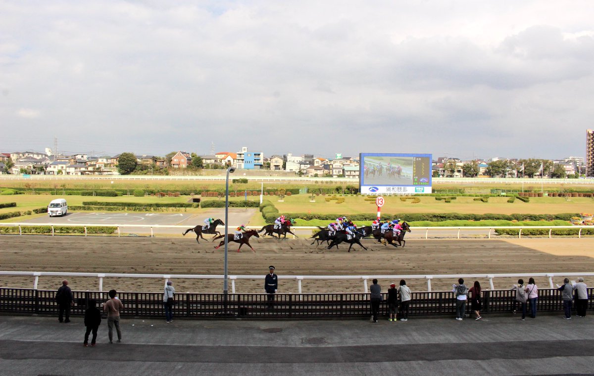 ま 浦和競馬場に来た 1周1 0m 直線0m 住宅街の中にある小さな競馬場 南浦和 駅から無料バスで5分ということもあり アクセスは良い 競馬場内に調節池やヘリポートがあるのは珍しい