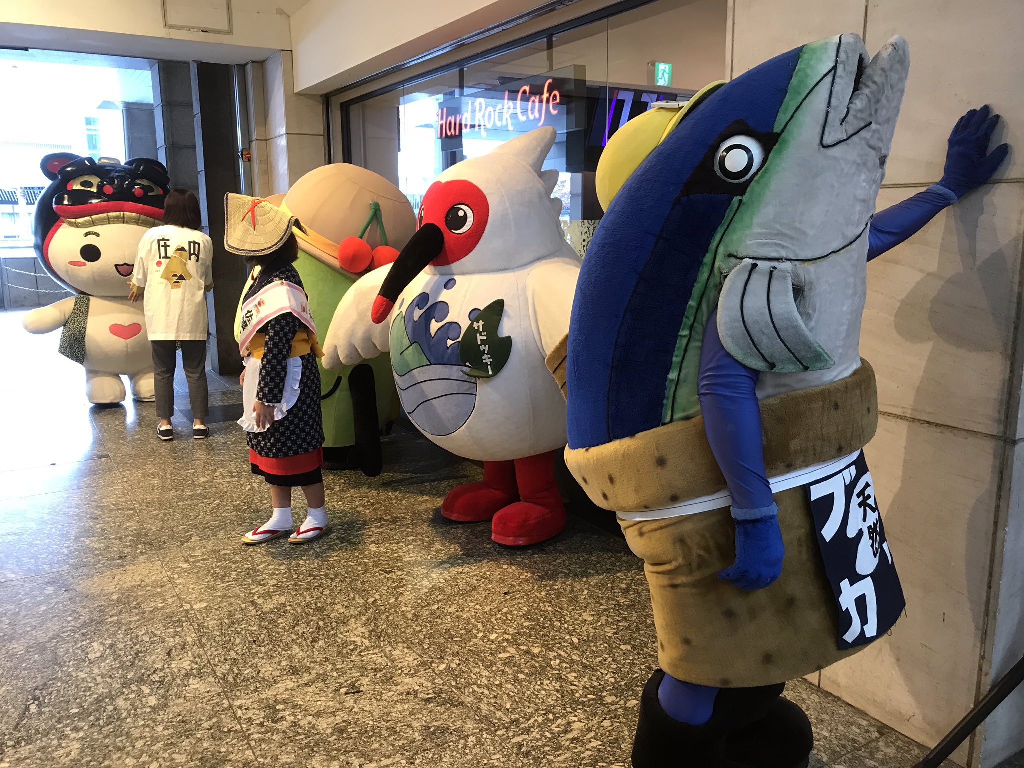 ブリカツくん　マスコット　新潟県佐渡市 ブリカツくん のキャラクタープロフィール ［ご当地キャラカタログ］