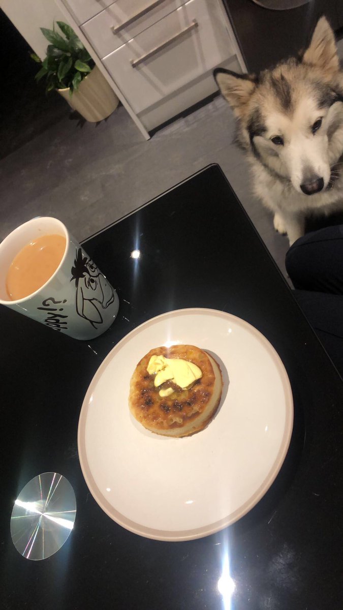 Courtney_Hopee's tweet photo. My Daddy The Best!❤️ #cominghomefromwork #breakfast #boohastobeg https://t.co/O10hWsBU78