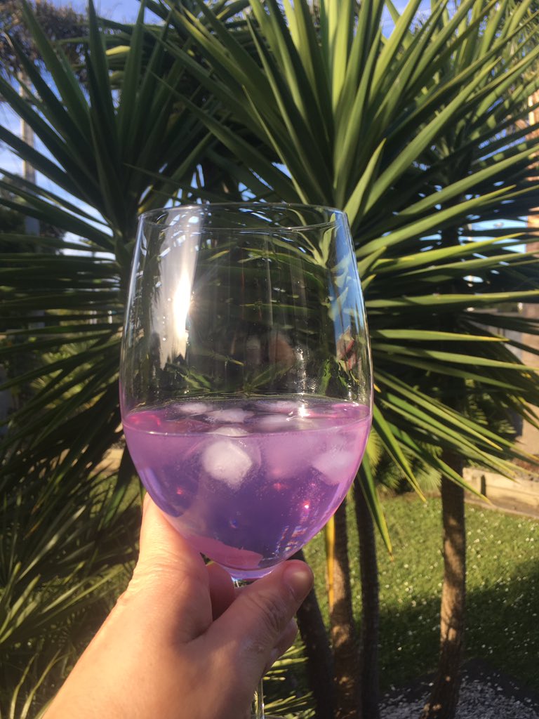 MossTheBT's tweet photo. The PowerPoint and paper are done n submitted. It’s gin o’clock for M n lamb dinner time for me. The weekend has landed! WOOOHOOOO! #magicgin https://t.co/mmPxfWG5bD