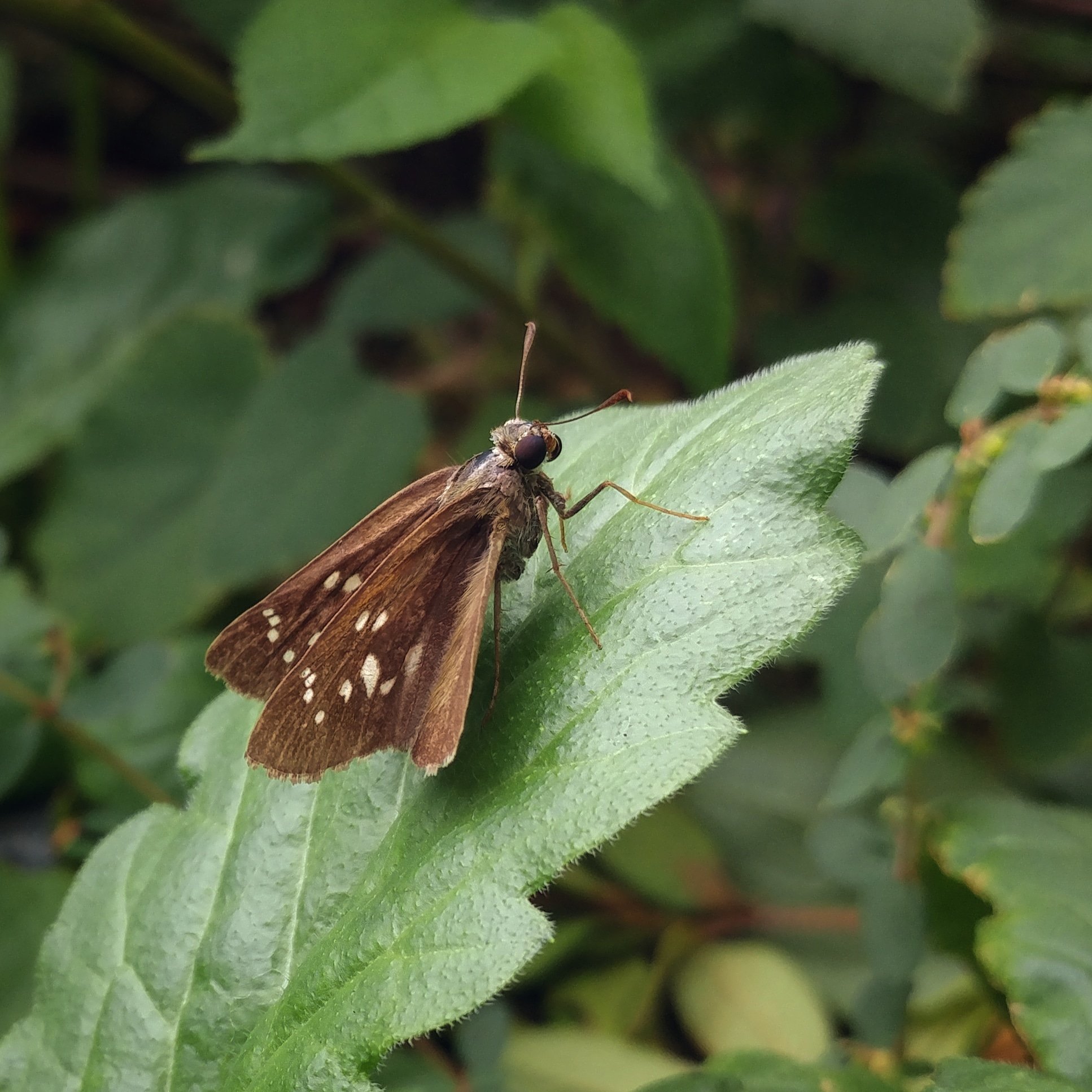 挵蝶 Twitter Search Twitter