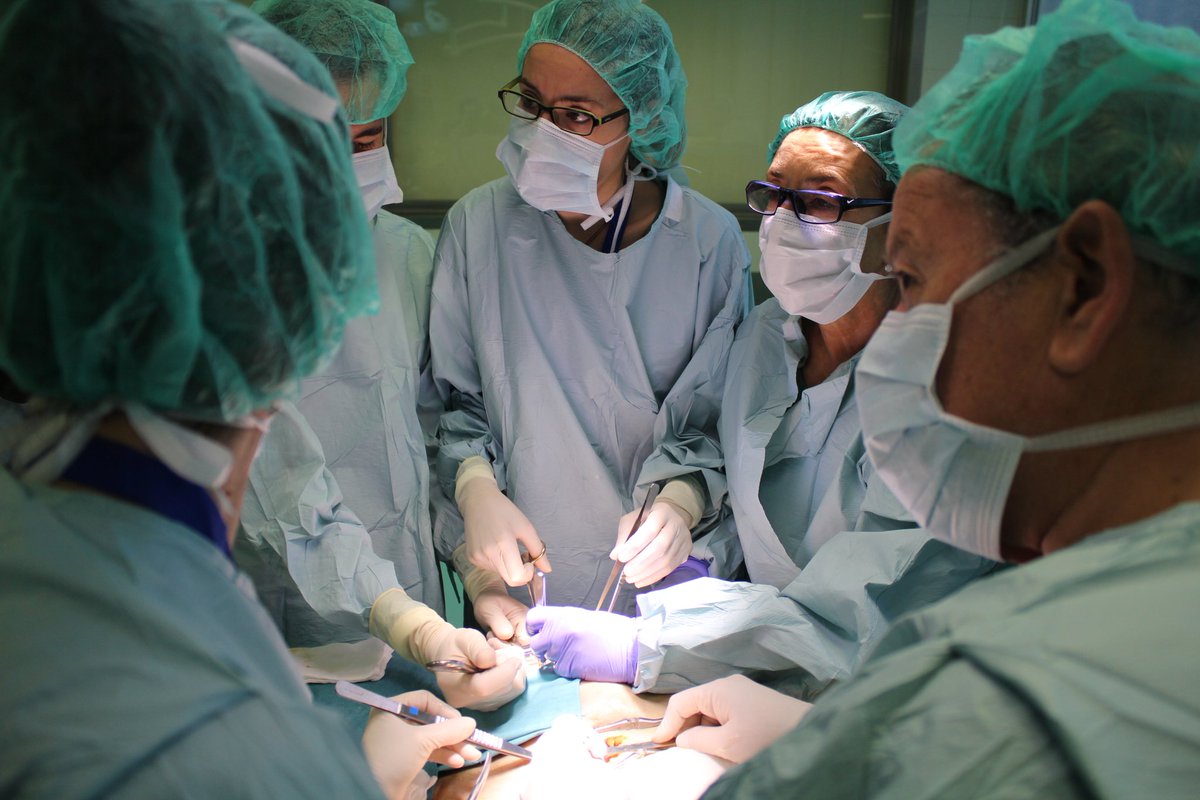 CursoTxThiel's tweet photo. #TxThiel Surgeons & OR nurses learning together kidney transplantation surgery. Photo from #TxThiel17 Save the dates 13th & 14th December 2018! Registrations are open! https://t.co/vSL7HUQTtQ