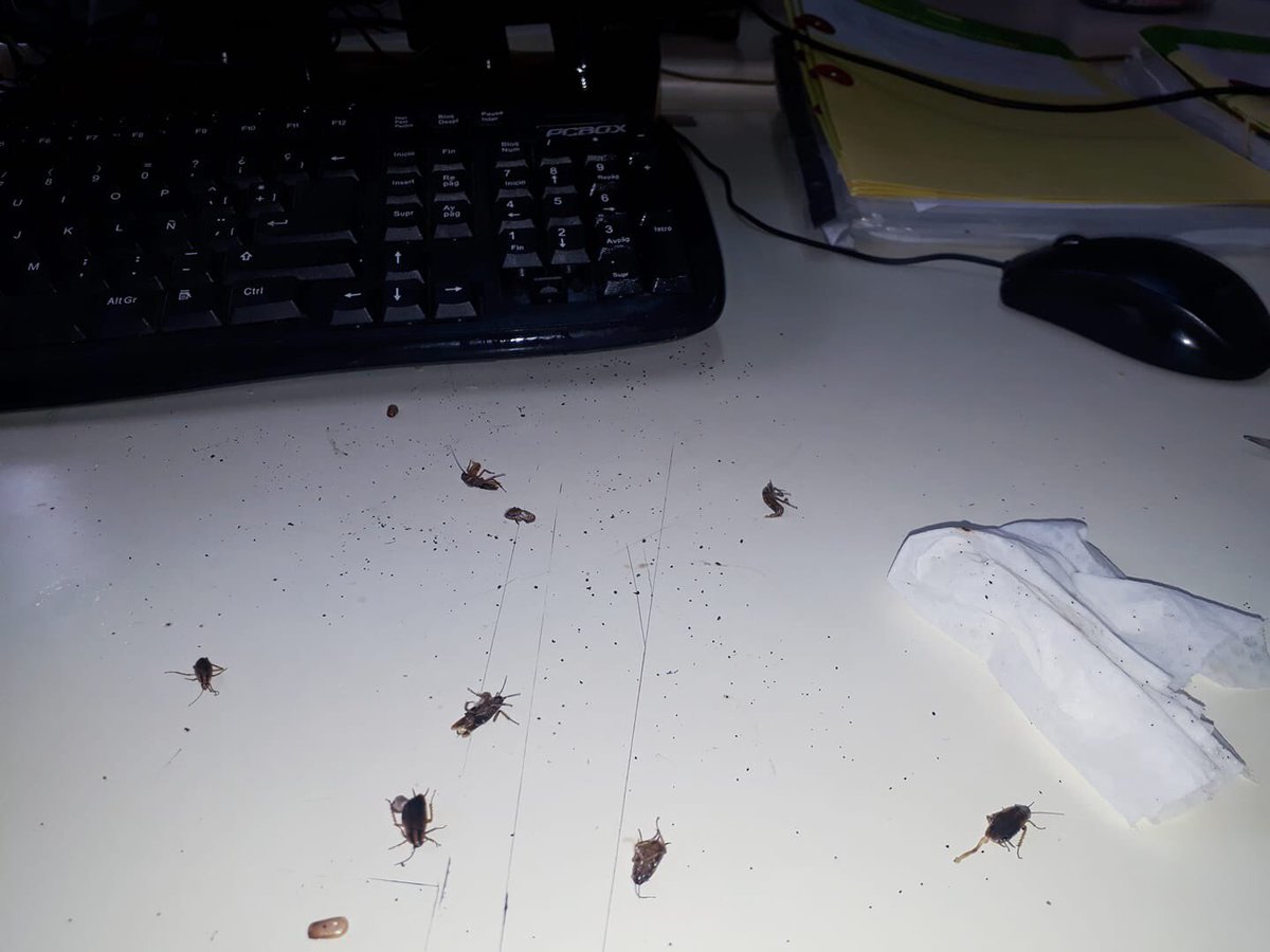 javobzzo's tweet photo. Así se trabaja en el Ministerio de Desarrollo Social de la Provincia de Bs As. La 1* es solo de un teclado y la 2 es el interior de los teléfonos! @eldialp @todonoticias @LaPlataMLP https://t.co/1FxwF5hgmg