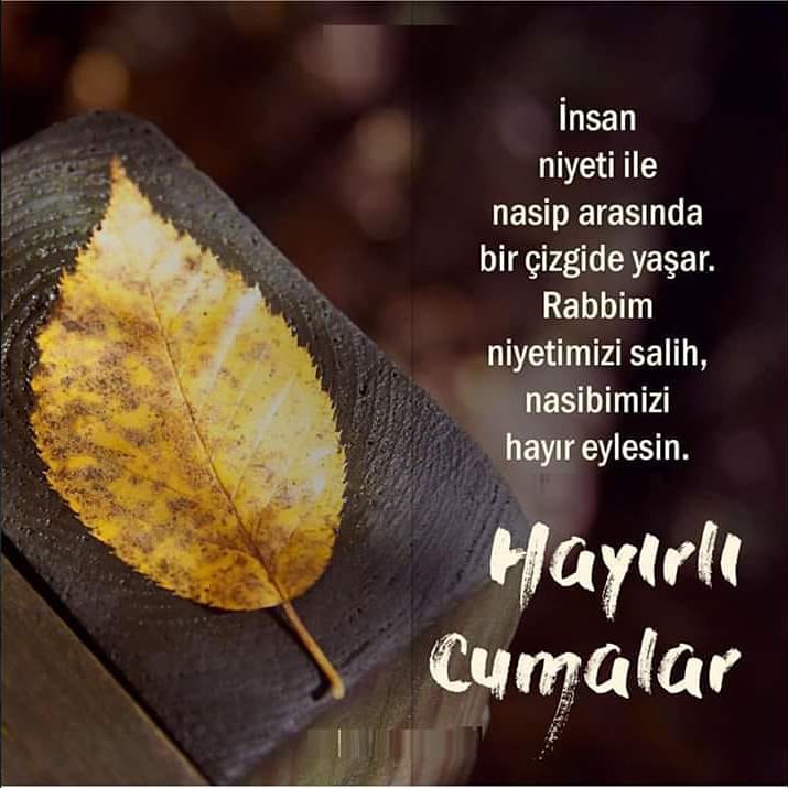 Emo48305243's tweet photo. hayırlı sabahlar https://t.co/f2Aar4BhTE
